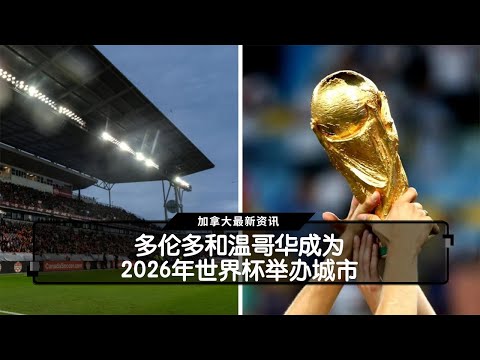 亞歷山大回,顧拉斯維加,斯賽場歡樂,世界杯直播,2026世界杯,体育直播,赛事频道,实时更新